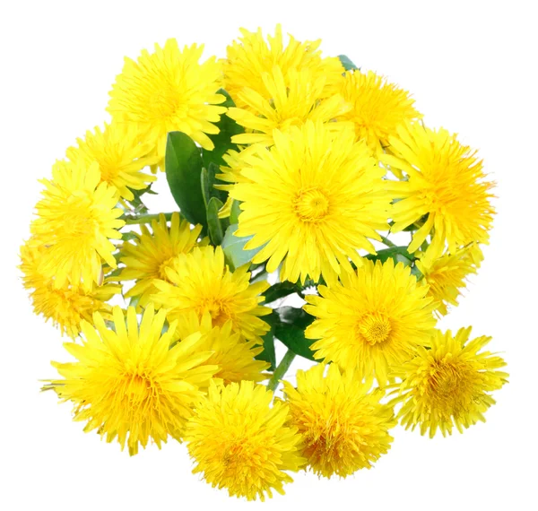 Bouquet of yellow flowers of dandelion — Stock Photo, Image