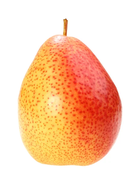 Single a red-yellow pear — Stock Photo, Image