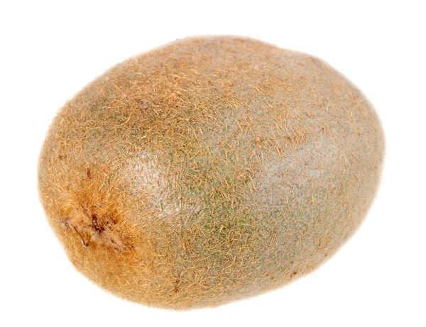 One full fruit of kiwi — Stock Photo, Image