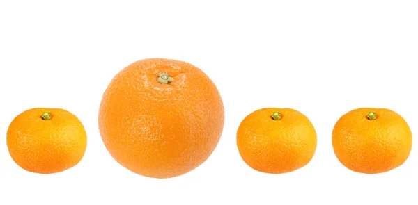 Orange und Mandarine in Reihe — Stockfoto