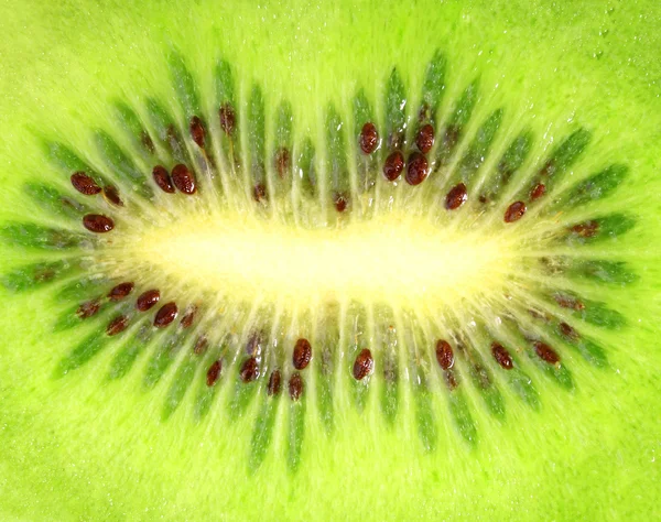 Background of the ripe kiwi slice — Stock Photo, Image