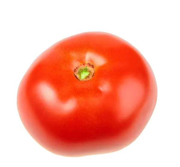 Enkele rijpe rode tomaten — Stockfoto