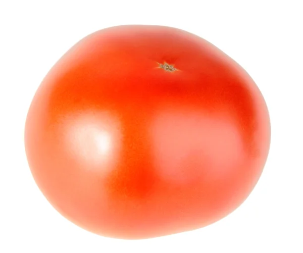 Один стиглий червоний помідор — стокове фото