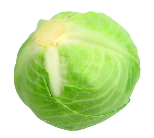 One green cabbage with dew — Stock Photo, Image