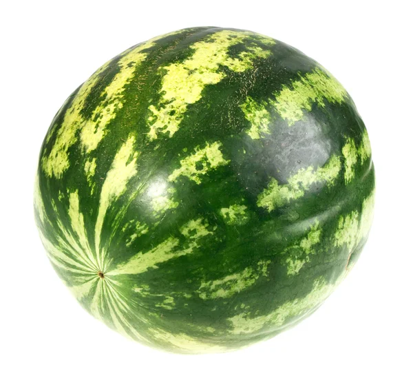 Volle einzelne gestreifte grüne Wassermelone — Stockfoto