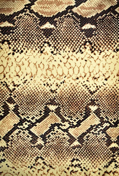 Snake texture. — Stock Photo, Image