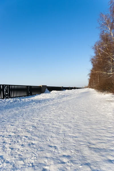 겨울 아침 풍경 — 스톡 사진