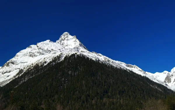 Montagne del Caucaso. belalakaya. — Foto Stock