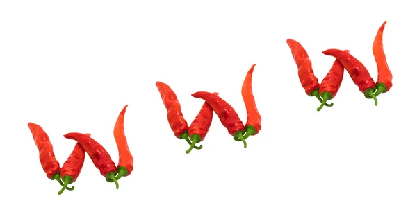 Www tekst bestaat uit chili peppers — Stockfoto