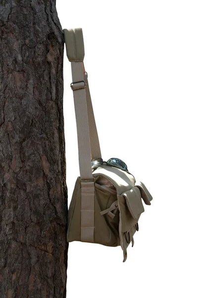 stock image Shoulder bag hanging on pine tree