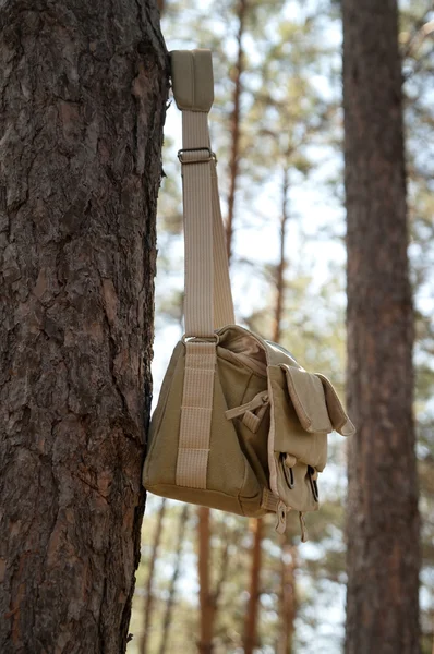 Çam ağacına asılı omuz çantası — Stok fotoğraf