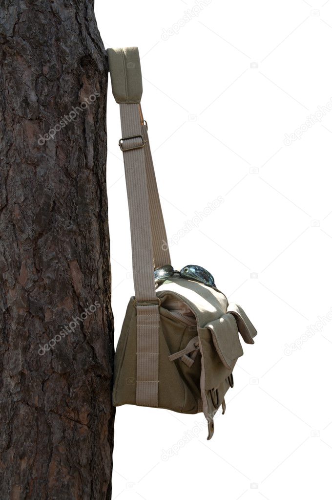 Shoulder bag hanging on pine tree