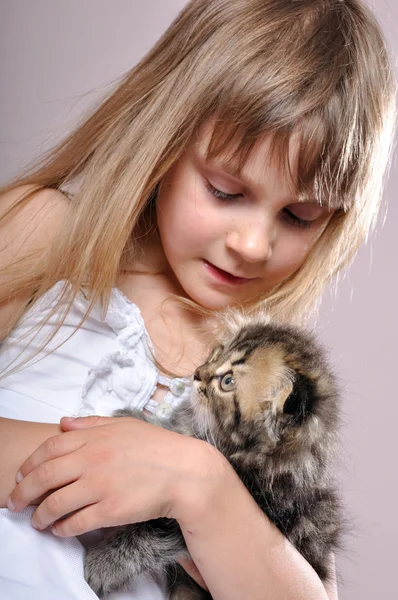 Criança abraçando um gatinho — Fotografia de Stock