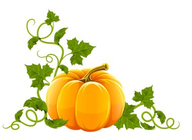 Ripe orange pumpkin vegetable with green leaves clipart