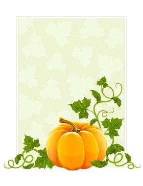 Ripe orange pumpkin vegetable with green leaves clipart