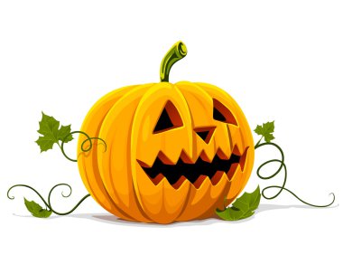 Vector halloween pumpkin vegetable fruit isolated clipart