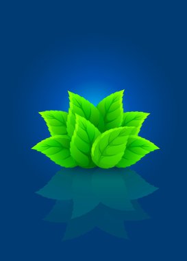 Group of green leaf on blue background clipart