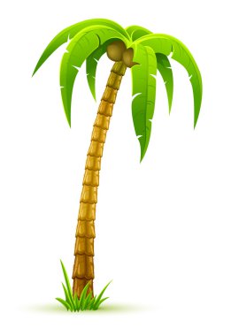 Palm tree clipart