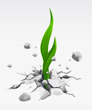 Green sprout, pushing out from stones clipart