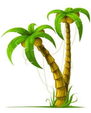 Vector tropical palm trees isolated on white clipart