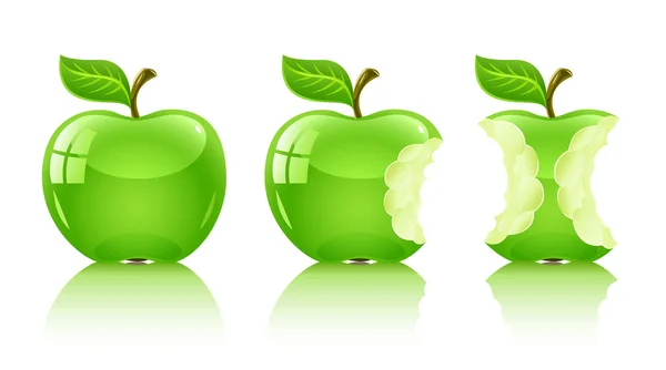 Grönt gnagde äpple med blad — Stock vektor