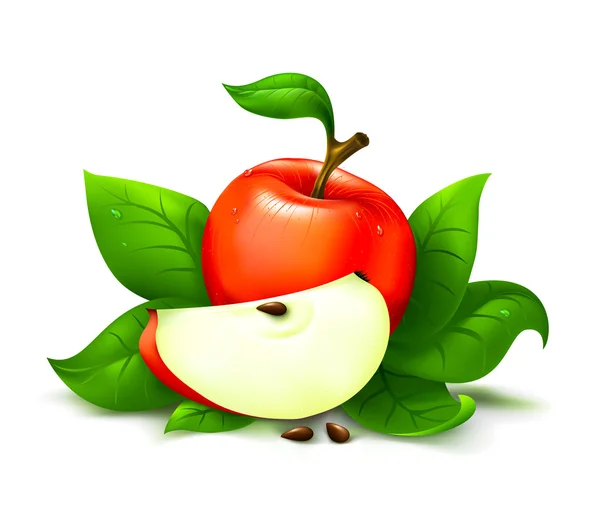 Äpple med leafs vektor — Stock vektor