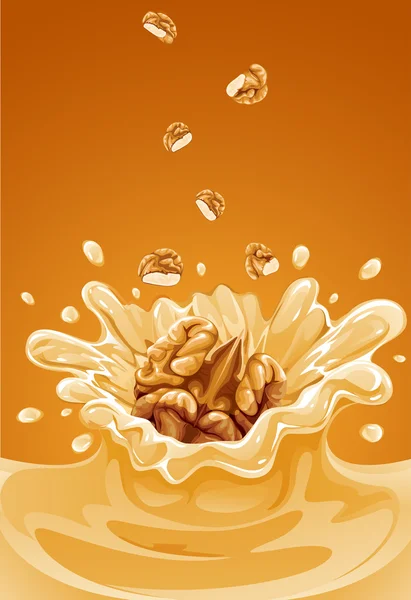 Walnut fruit falling into the caramel with splash — Stock Vector