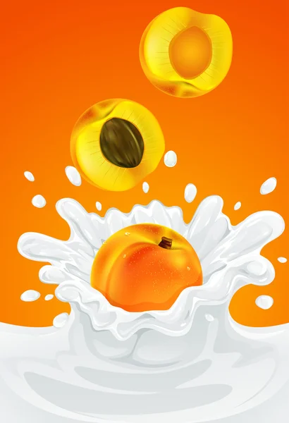 Orange apricot fruit falling into the milky splash — Stock Vector