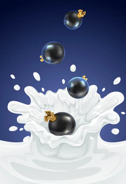 Bayas de grosella negra cae en lácteo splash — Vector de stock
