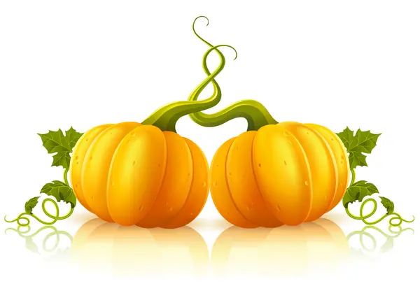 Vector halloween zucca frutta verdura isolato — Vettoriale Stock