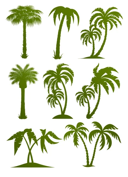 Набор силуэтов пальмовых деревьев — стоковый вектор