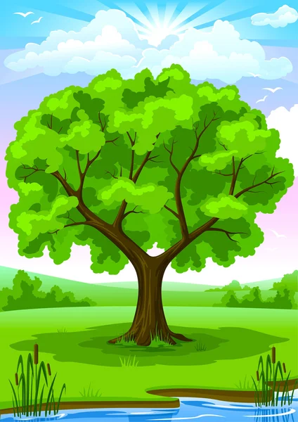 Zomer landschap met oude boom en hemel vectorillustratie — Stockvector