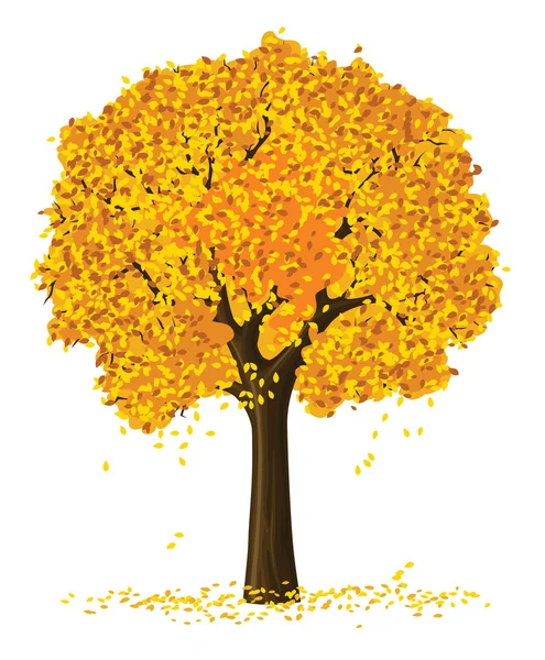 Vektorové siluetu žluté podzimní sezóny stromu — Stockový vektor
