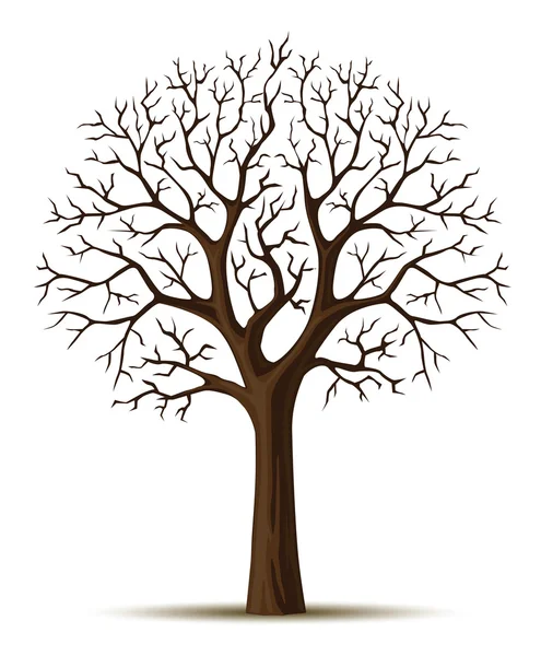 Sylwetka wektor cron gałęzi drzewa — Wektor stockowy