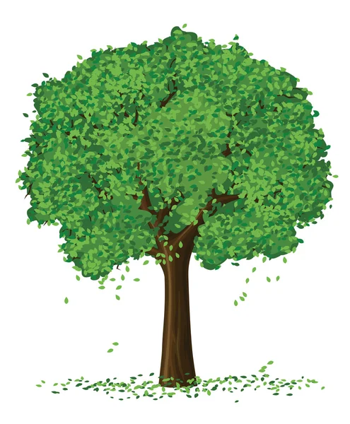Vektorové siluetu letní sezóny stromu — Stockový vektor