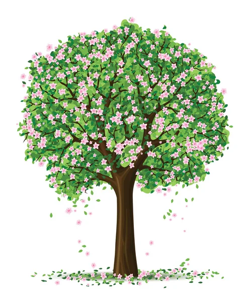Silueta vector del árbol de la temporada de primavera — Archivo Imágenes Vectoriales