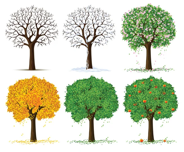 Vector silhouette of seasonal tree — Stock Vector
