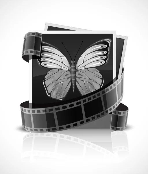 Photo film and photograph picture with butterfly — Stock Vector