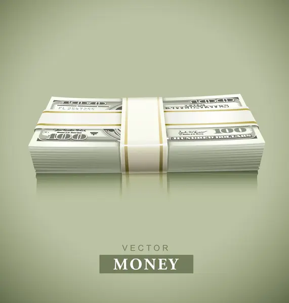 お金のドルのパッケージのバンドル — ストックベクタ