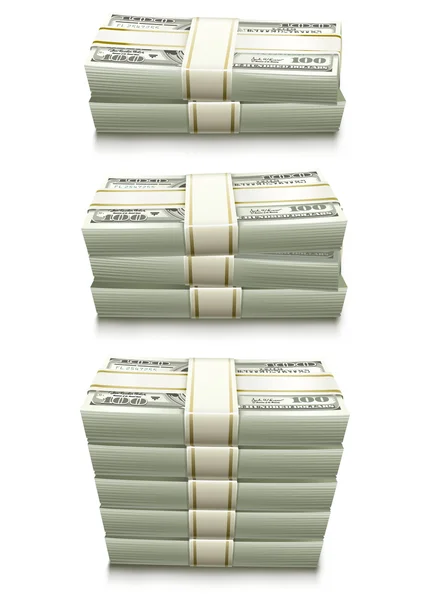 Set of dollar bank notes packed money — Stock Vector