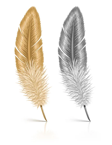 Feather isolated on white background — Stock Vector