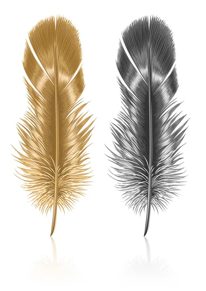 Bird feather isolated on white background — Stock Vector