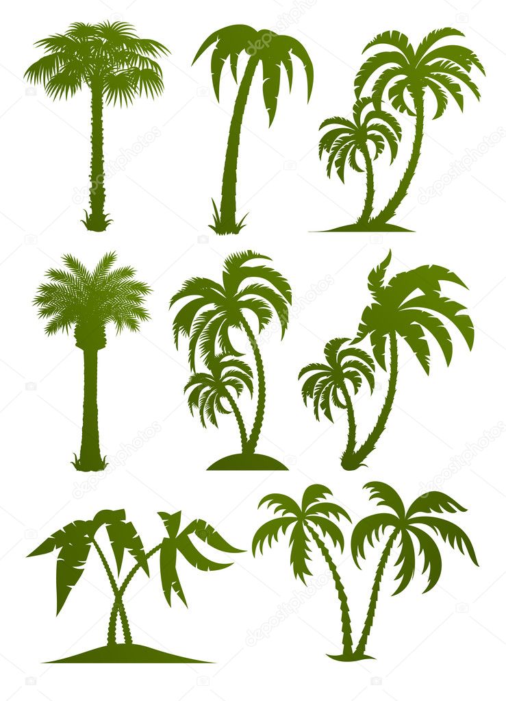 Set of palm tree silhouettes vector illustration isolated on white background