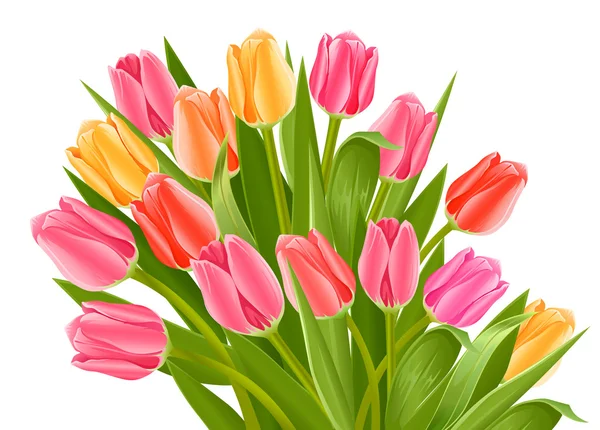 Buquê de flores de tulipa — Vetor de Stock