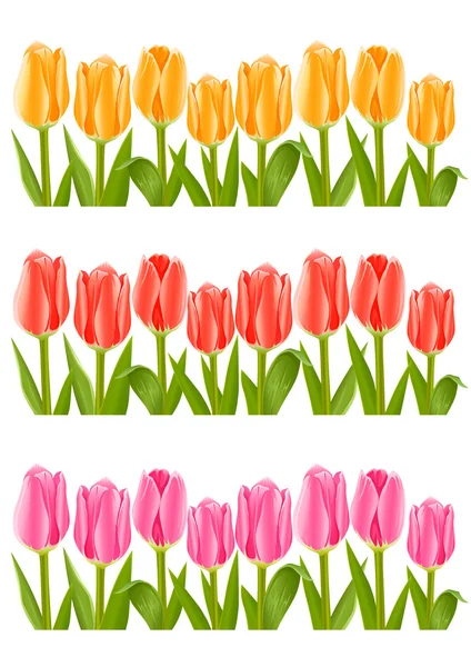色のチューリップの花のセット — ストックベクタ