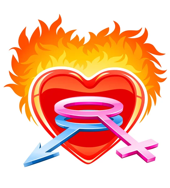Rood branden liefde hart met mannelijke en vrouwelijke symbolen — Stockvector