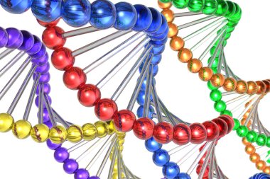 Color DNA molecules clipart