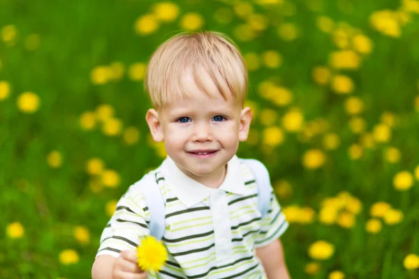 Rapaz sorridente no prado do dente-de-leão — Fotografia de Stock