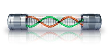 DNA molekülünün hermetik kapsül