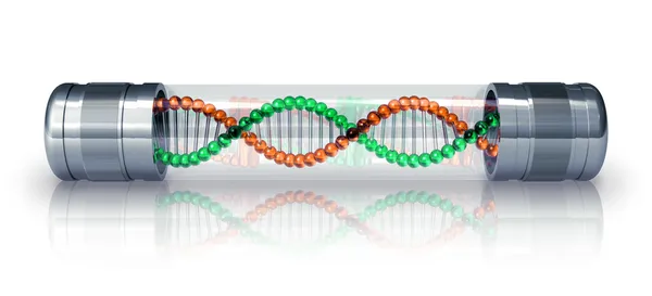 DNA-molekylen i Hermetiska kapsel — Stockfoto